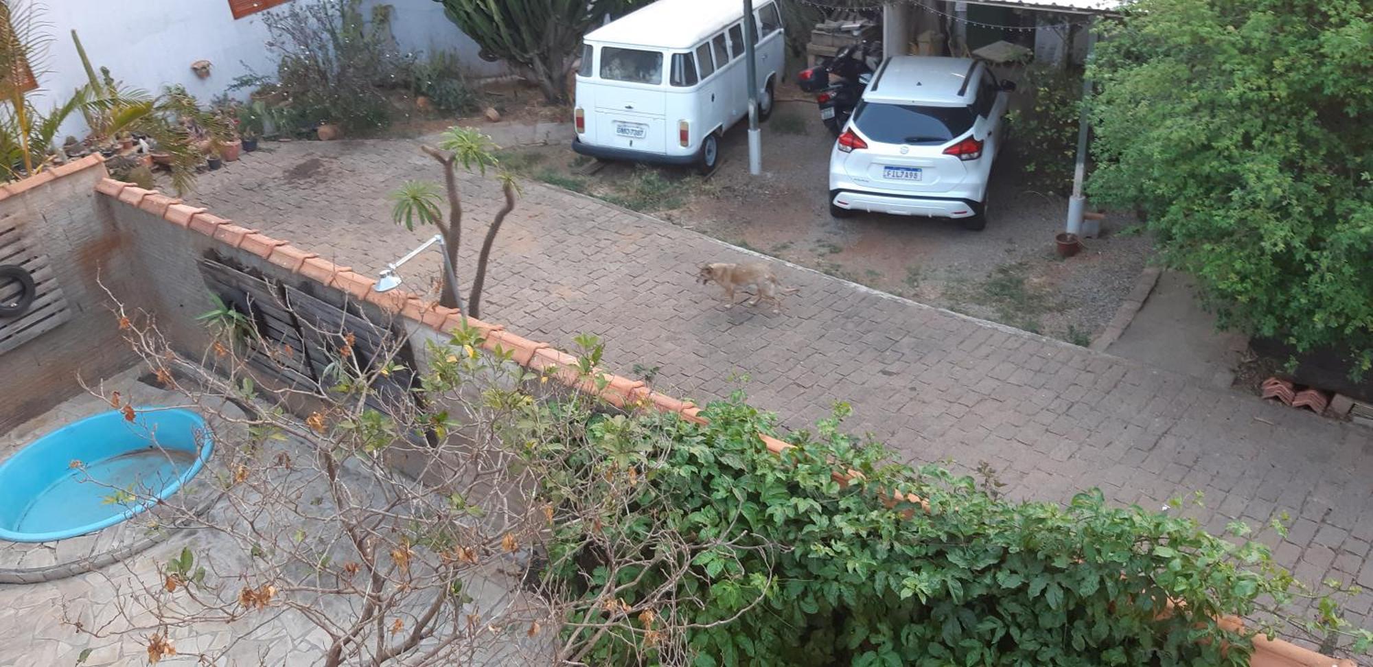 Apartament Chacara Famille Brun São João da Boa Vista Zewnętrze zdjęcie